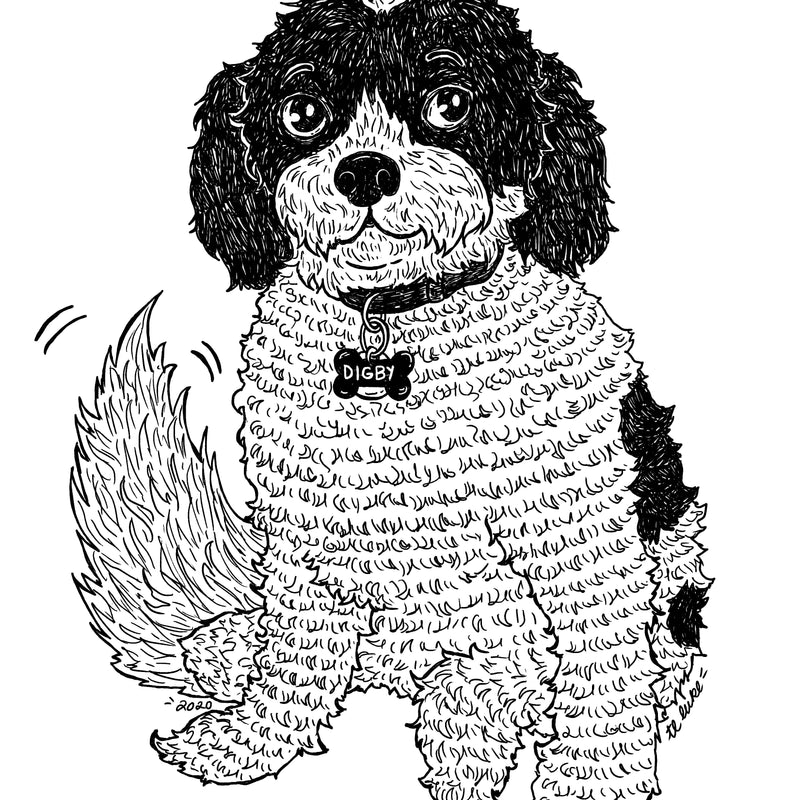 2020 Digby's Pet Portrait