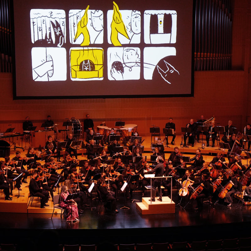 2023 Madison Symphony Orchestra Live Drawing