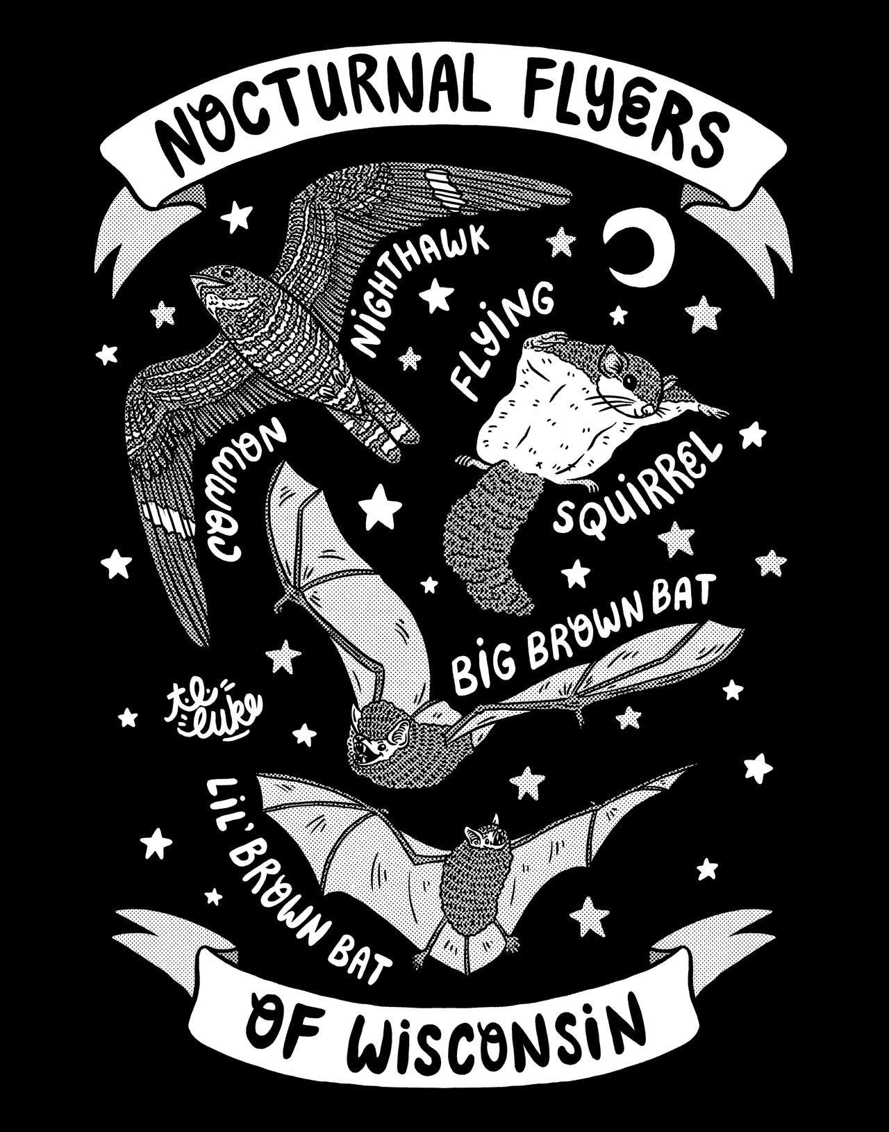 Nocturnal Flyers of Wisconsin Print & Postcard
