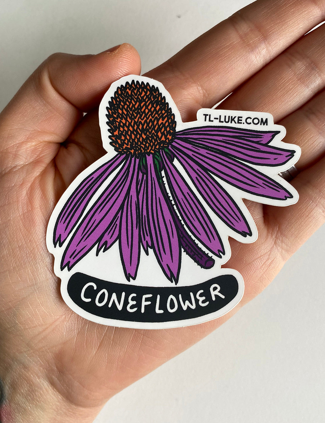 Flower: Coneflower Sticker