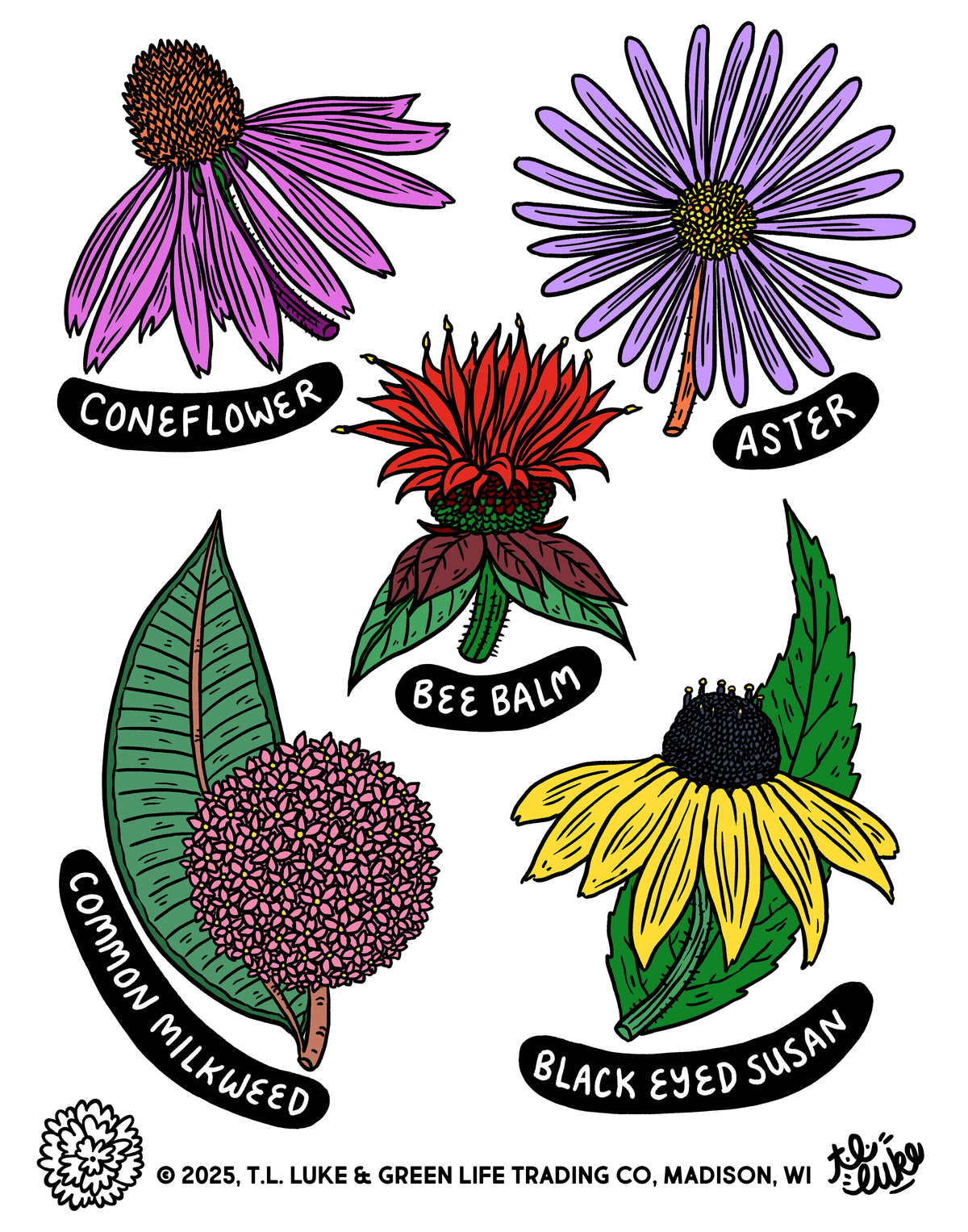 Pollinator Flowers Print & Postcard