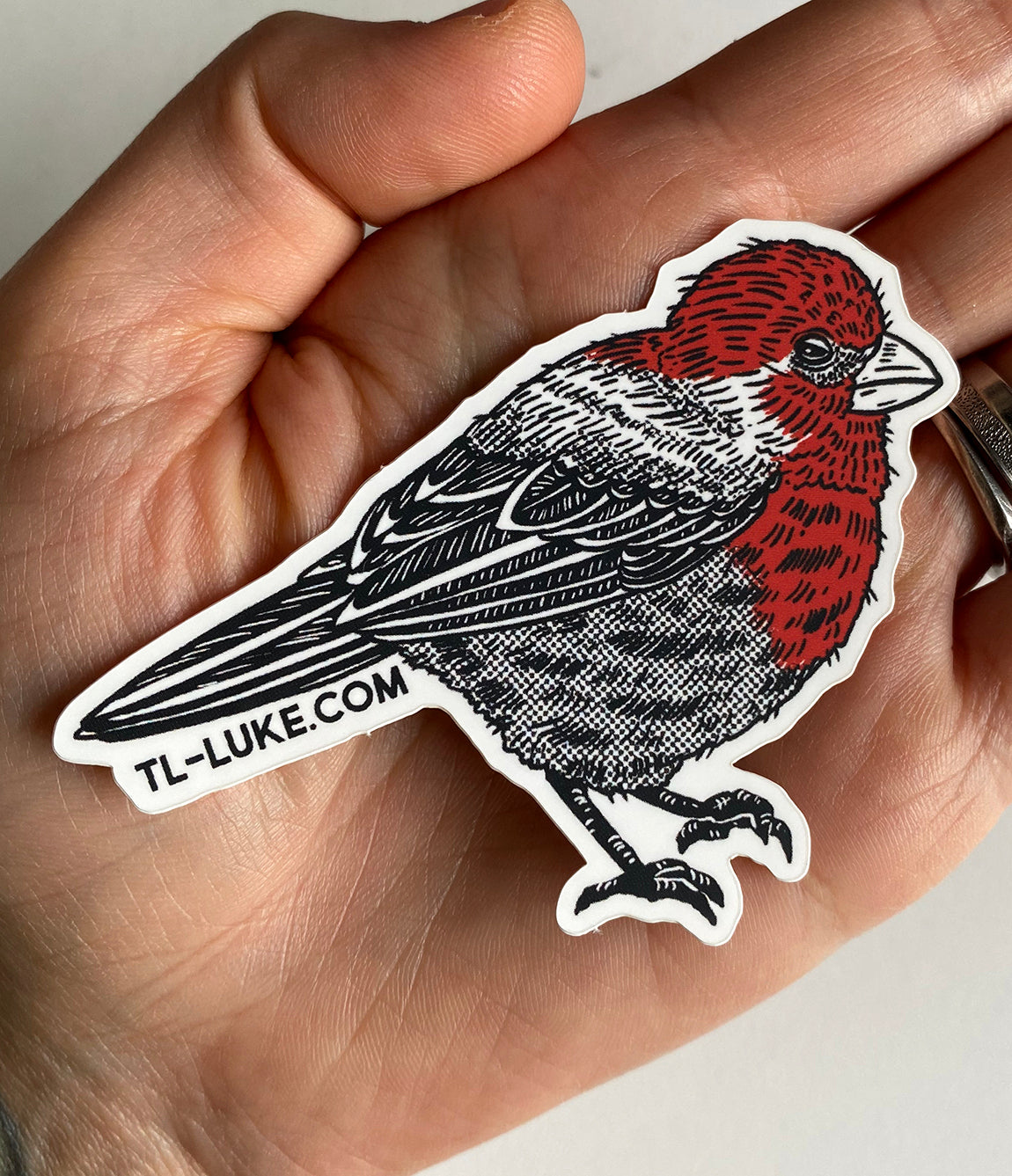 Bird: House Finch Sticker