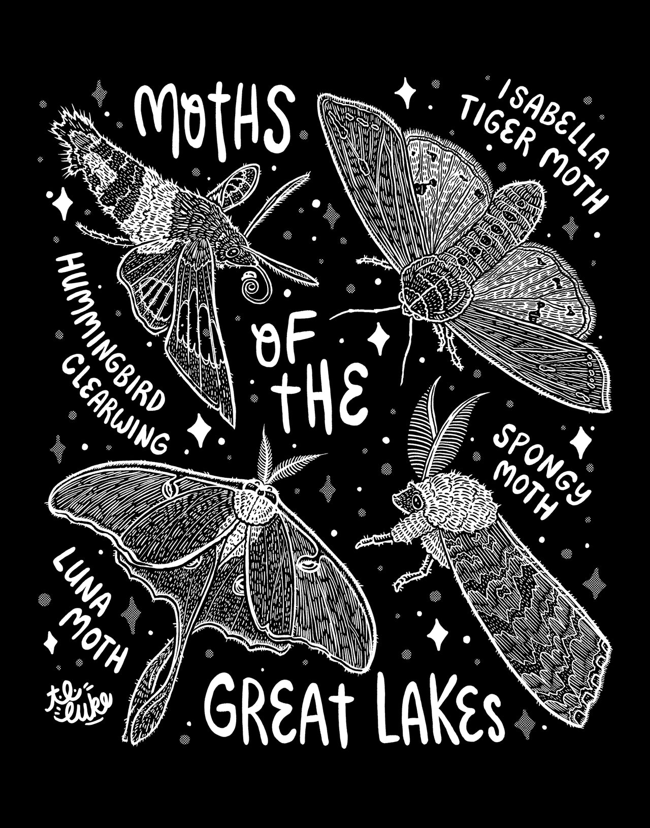 Moths of the Great Lakes Print & Postcard