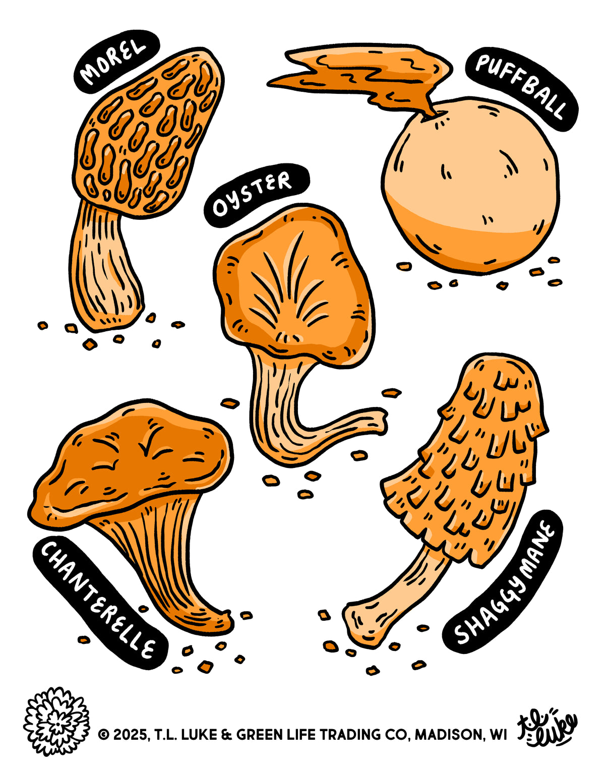 Edible Mushrooms Print & Postcard