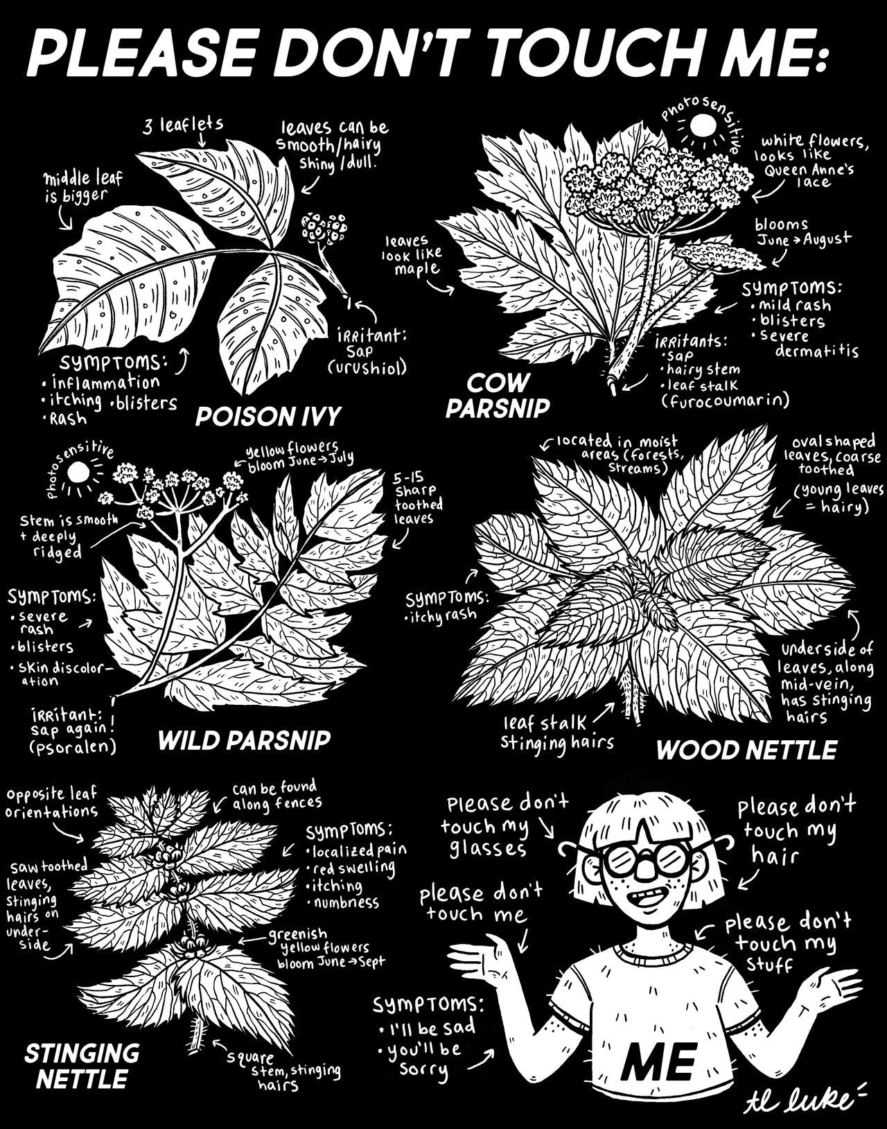 Don't Touch Me Collection - T.L. Luke Art